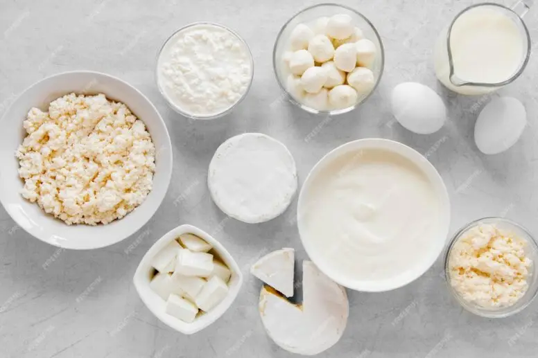 Alimentos probióticos