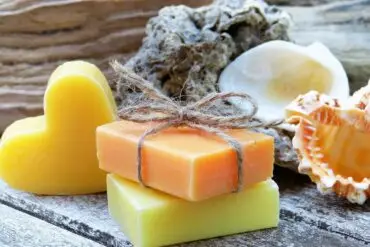 Prebióticos e Probióticos: o que são e o que fazem pela nossa pele