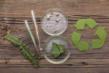 Cosméticos Sólidos: a alternativa sustentável para o seu dia a dia